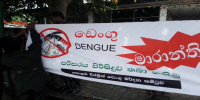 විශේෂ ඩෙංගු මර්දන වැඩසටහන - පාදුක්ක ප්‍රාදේශීය ලේකම් කොට්ඨාශය