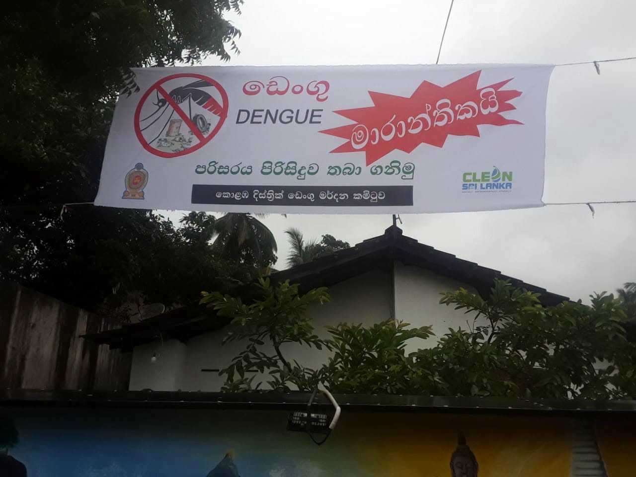 Right Image