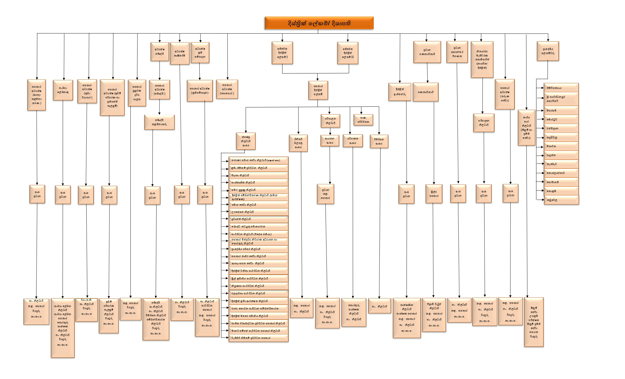 SINHALA ORGANIZATION CHART