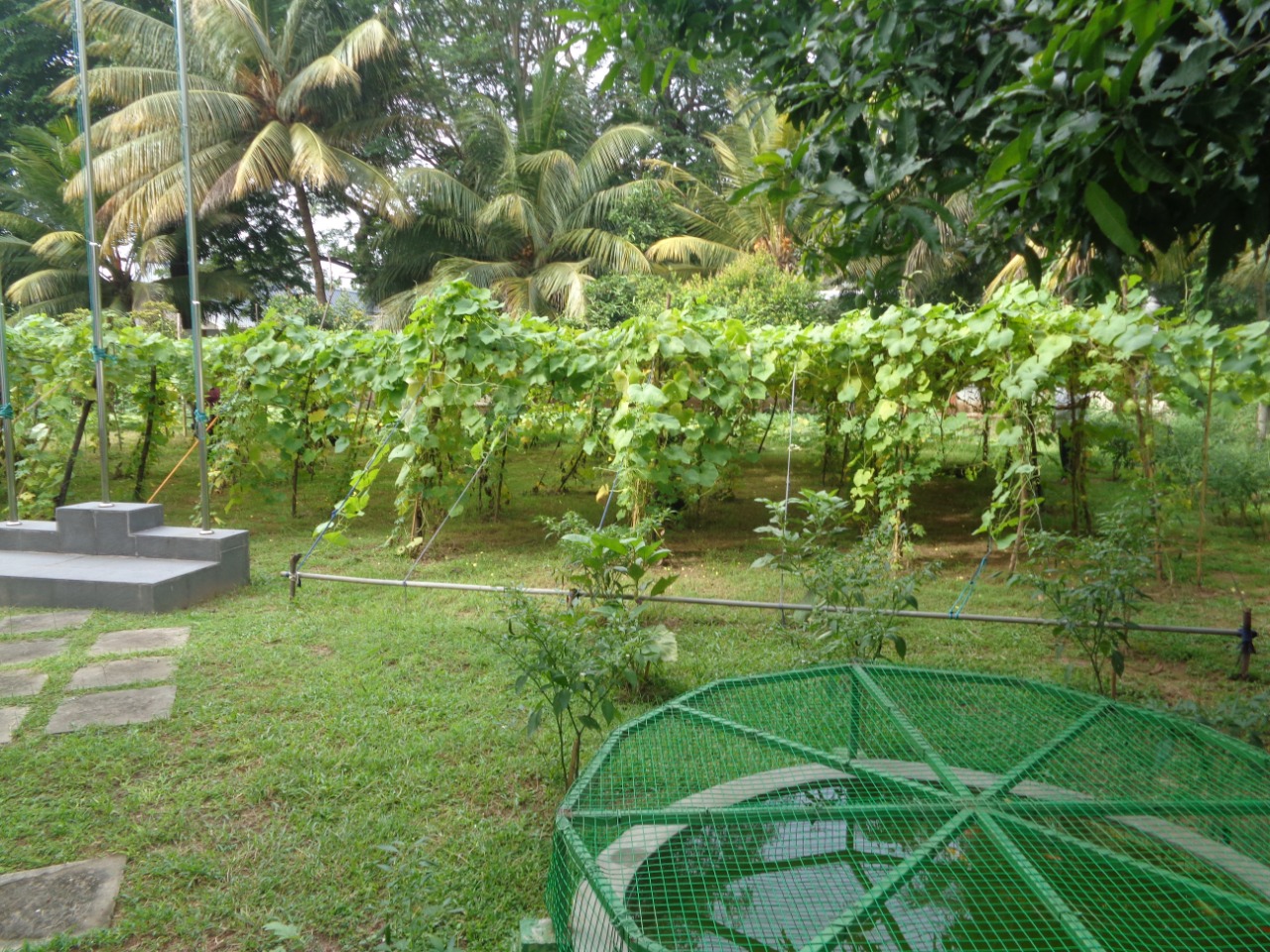 IMG 20221114 WA0018