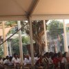 දෙව්නි මෝරි ශ්‍රී සර්වඥ ධාතූන් වහන්සේ ප්‍රදර්ශනය